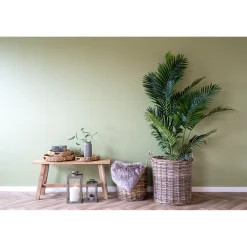 Clearance Boliginteriør BOLIGINTERIØR ARECA PALME KUNSTIG PLANTE 175 CM