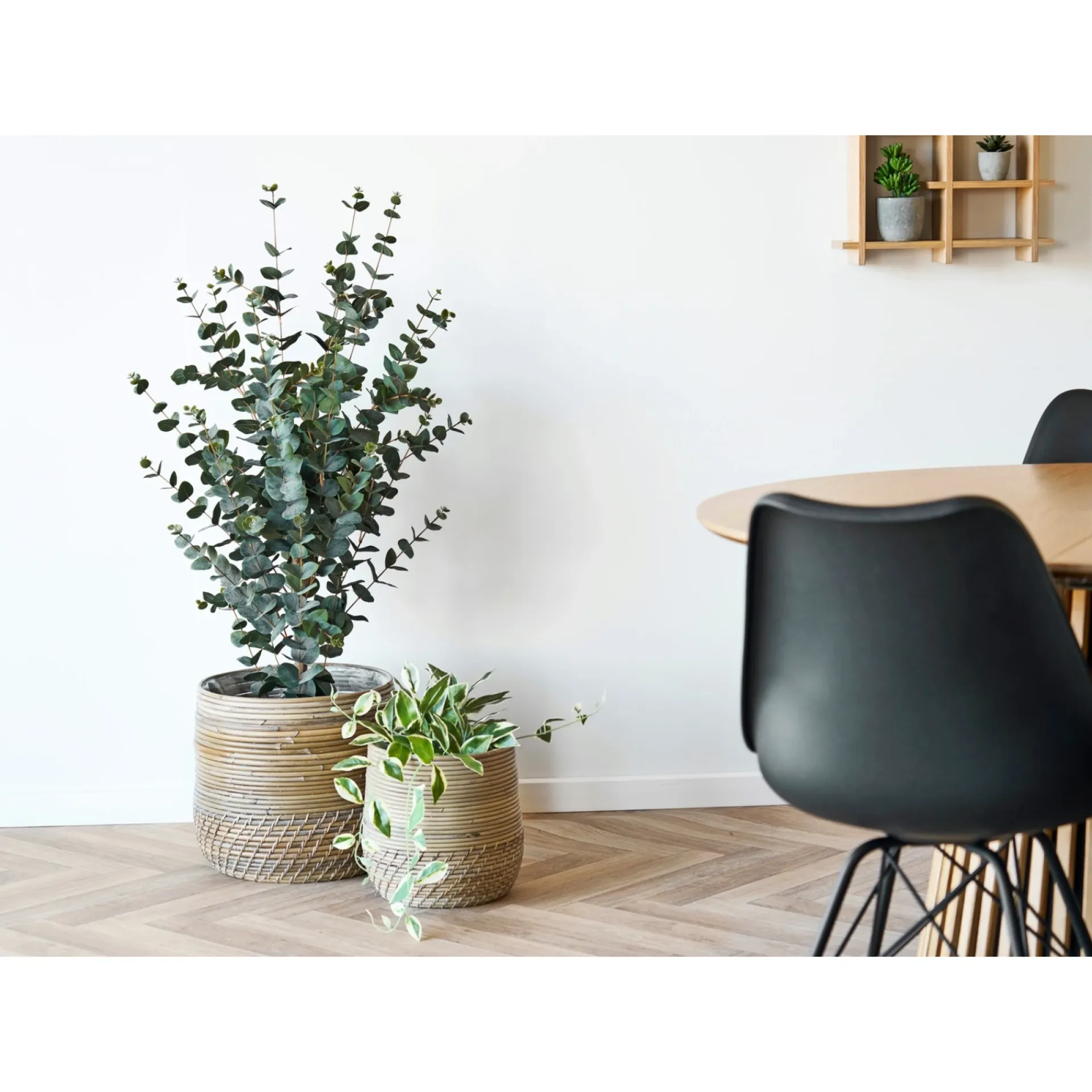 Hot Boliginteriør BOLIGINTERIØR EUKALYPTUS TRÆ KUNSTIG PLANTE 120 CM