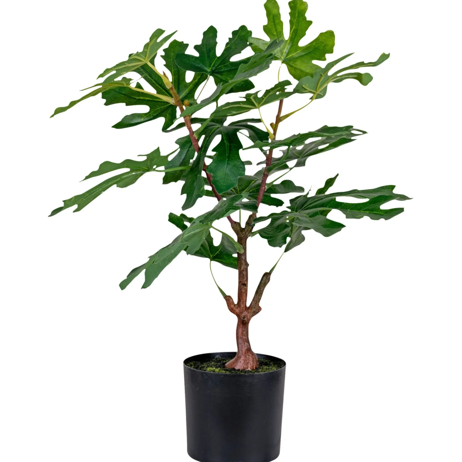 Outlet Boliginteriør BOLIGINTERIØR FIGENTRÆ KUNSTIG PLANTE 53 CM