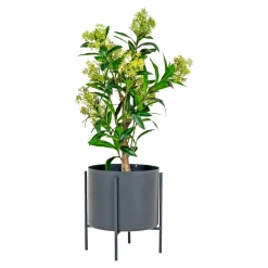 Outlet Boliginteriør BOLIGINTERIØR KUNSTIG PLANTE 75 CM