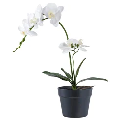 Online Boliginteriør BOLIGINTERIØR ORKIDE KUNSTIG PLANTE 49 CM