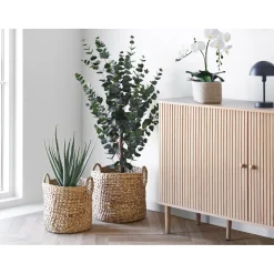 Best Boliginteriør BOLIGINTERIØR STINE SKAB NATUR 79 X 40 X 140 CM