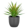 Hot Boliginteriør BOLIGINTERIØR SUKULENT KUNSTIG PLANTE 20,5 CM