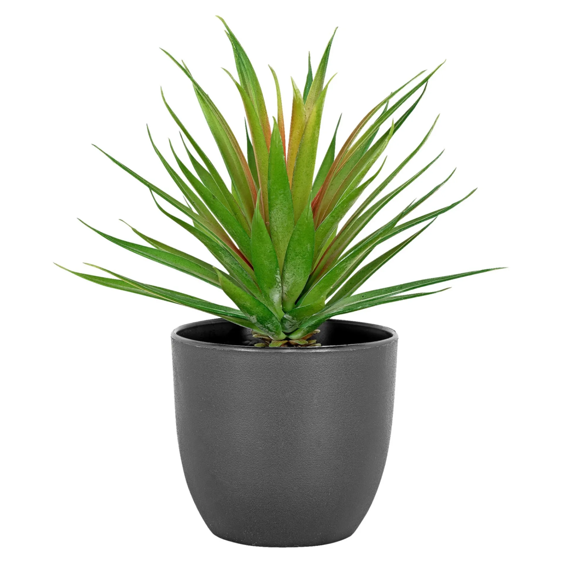 Hot Boliginteriør BOLIGINTERIØR SUKULENT KUNSTIG PLANTE 20,5 CM