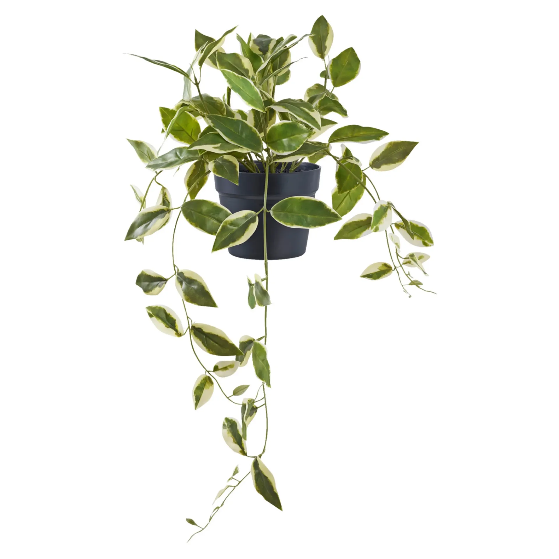 Boliginteriør BOLIGINTERIØR VOKSBLOMST KUNSTIG PLANTE 33 CM