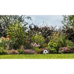 Discount Bosch GARDENPUMP 18V-2000 HAVEPUMPE