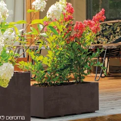 Sale Deroma MILLENIUM 208-609 PLANTEKASSE PLASTIK ANTRACITGRÅ L59 CM
