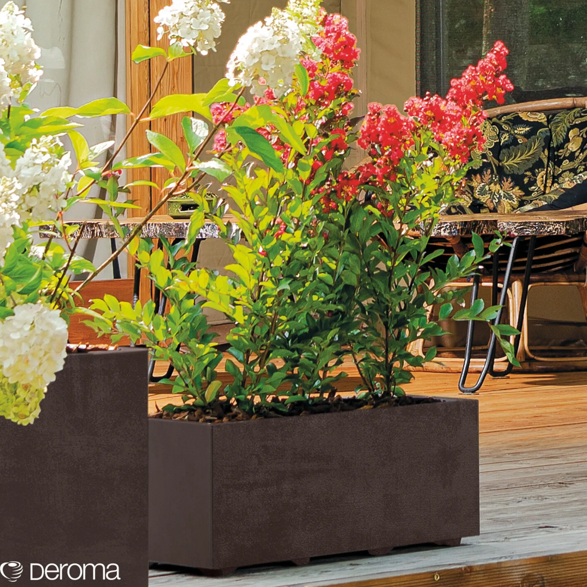 Sale Deroma MILLENIUM 208-609 PLANTEKASSE PLASTIK ANTRACITGRÅ L59 CM