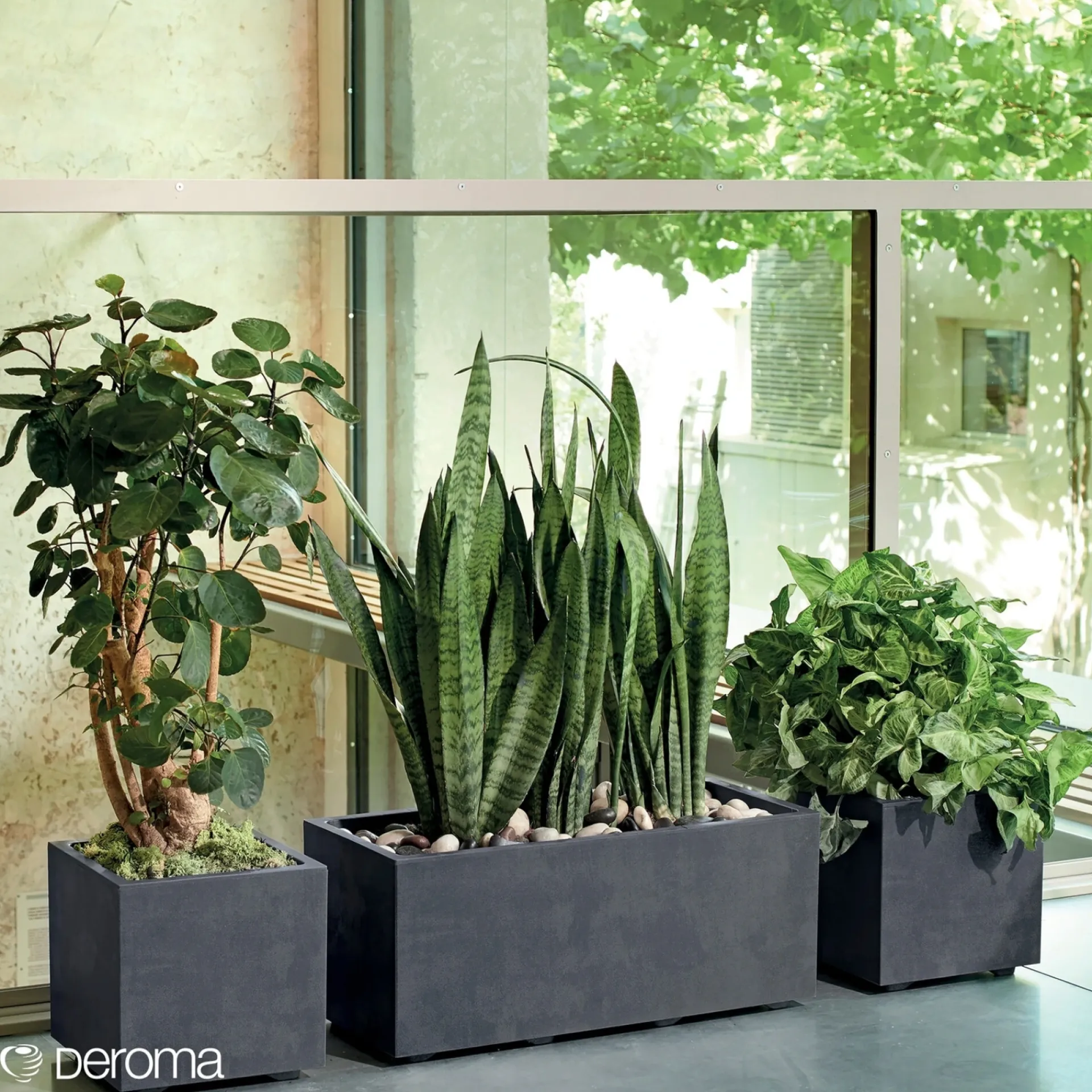 Hot Deroma MILLENIUM 208-619 PLANTEKASSE PLASTIK ANTRACITGRÅ 39X39X39 CM