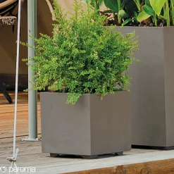 Online Deroma MILLENIUM 208-622 PLANTEKASSE PLASTIK SANDSTEN 39X39X39 CM