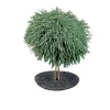 Sale Garden Life GRÆSKANT Ø50XH7 CM