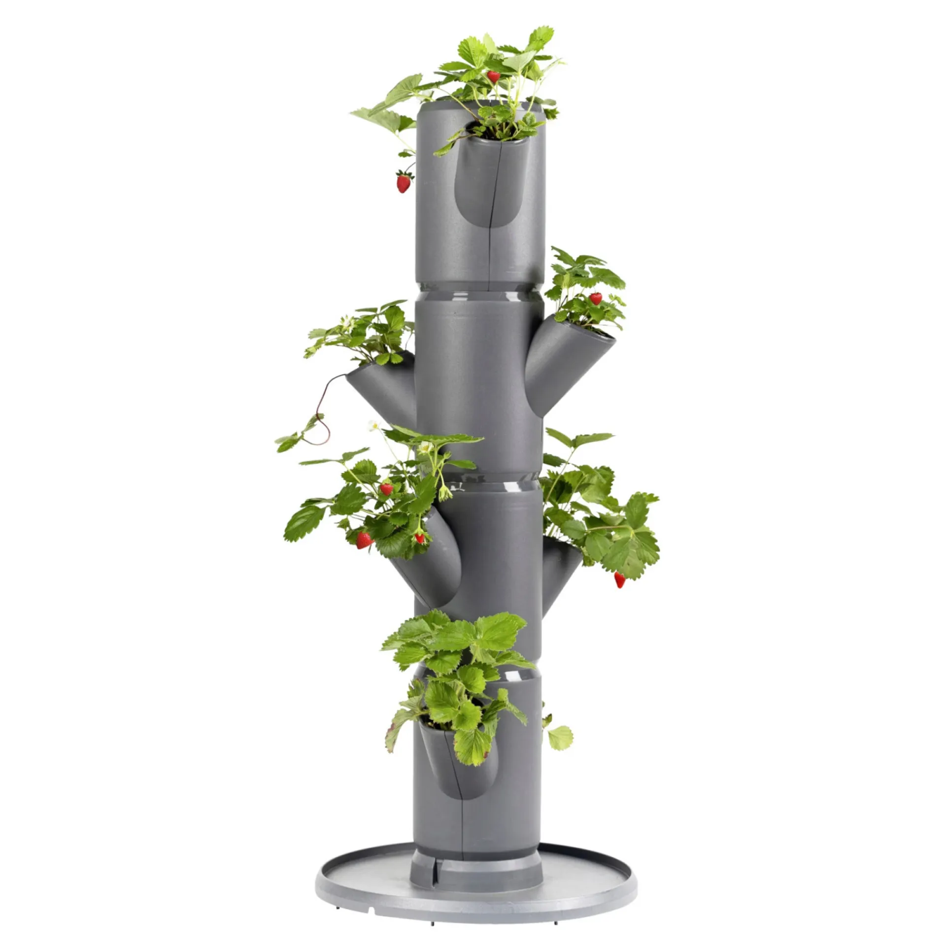 Discount Garden Life JORDBÆR PLANTEKASSE Ø32XH77 CM
