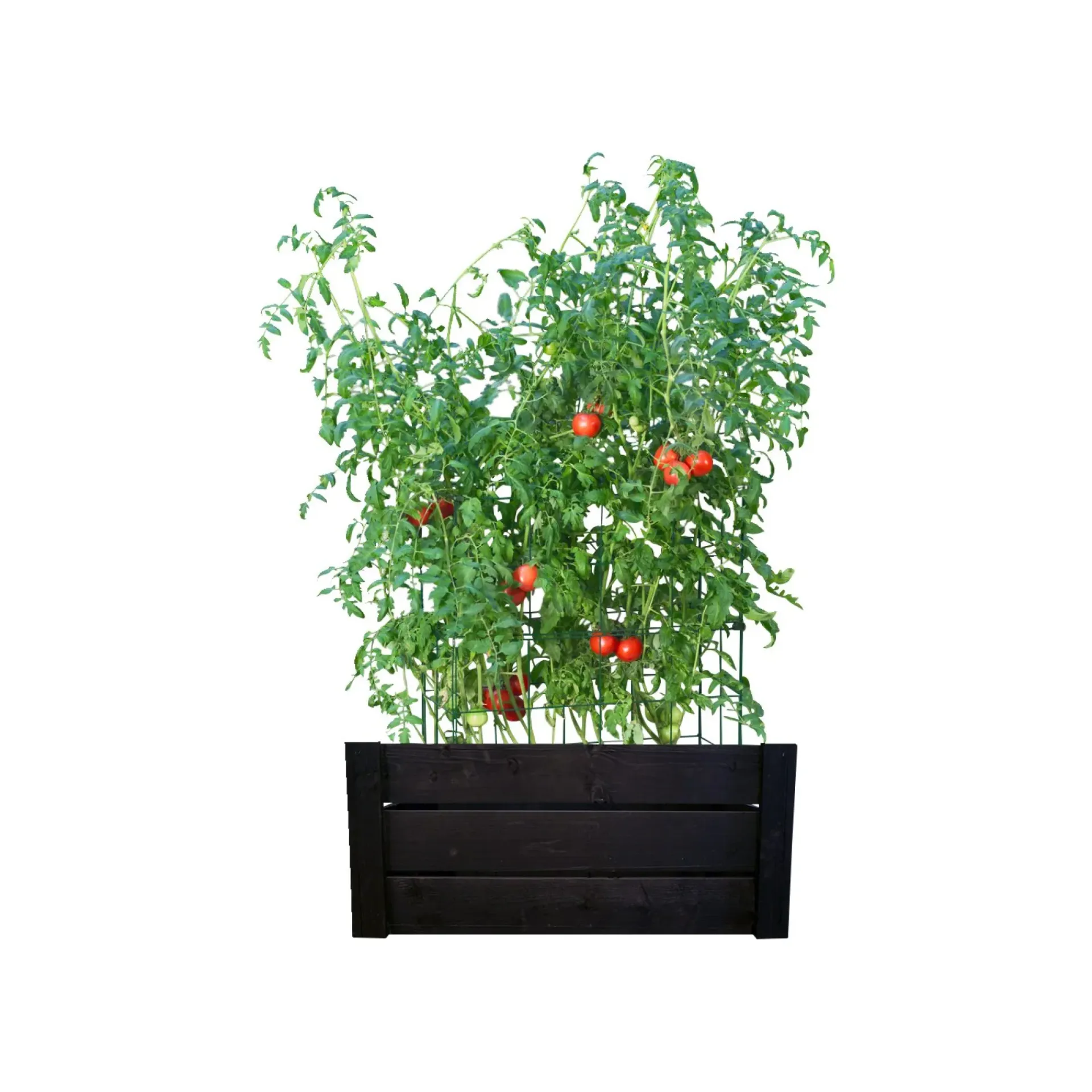 Clearance Garden Life KAPILÆRKASSESKJULER SORT