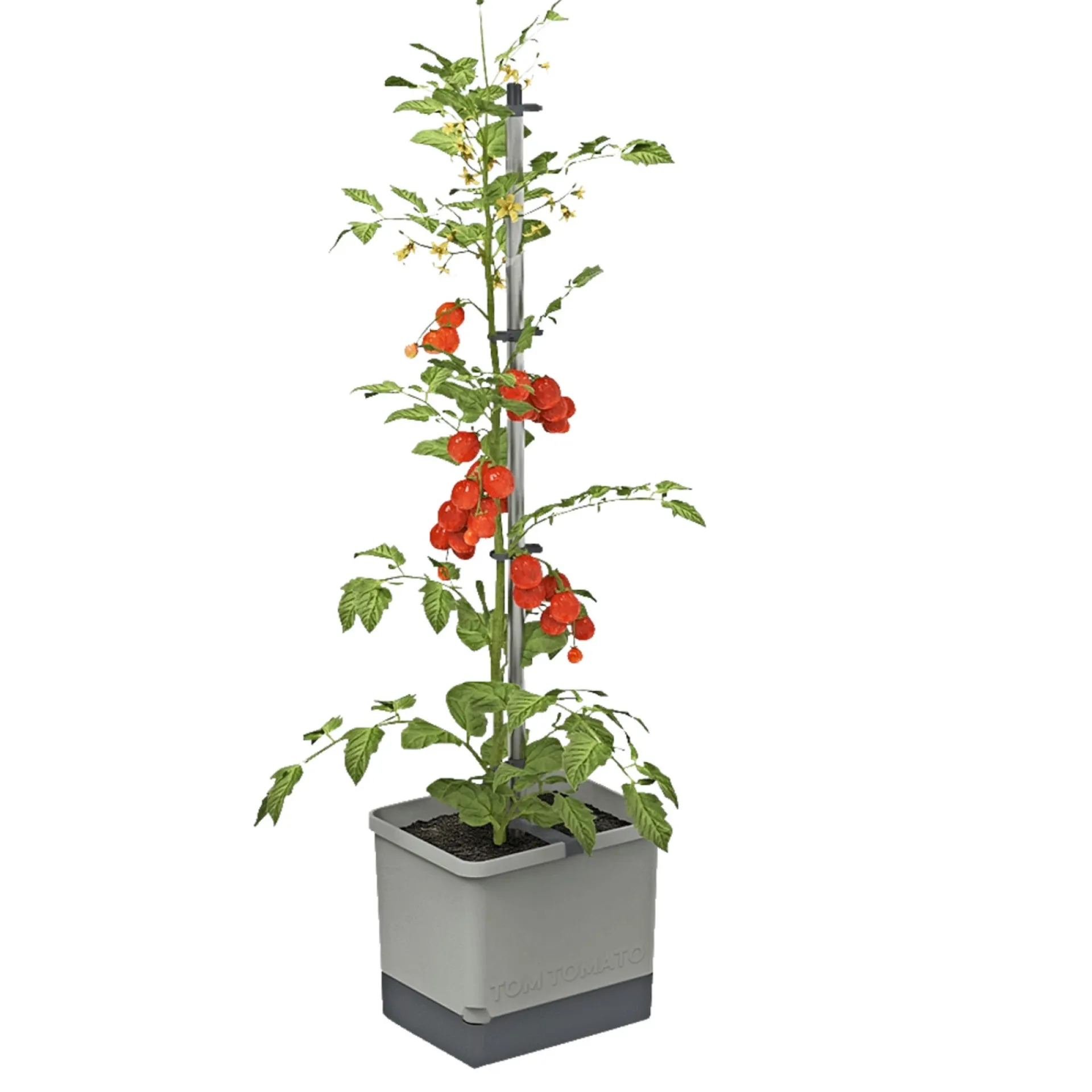 Garden Life TOMAT PLANTEKASSE L34,7XB27,7XH135,4 CM