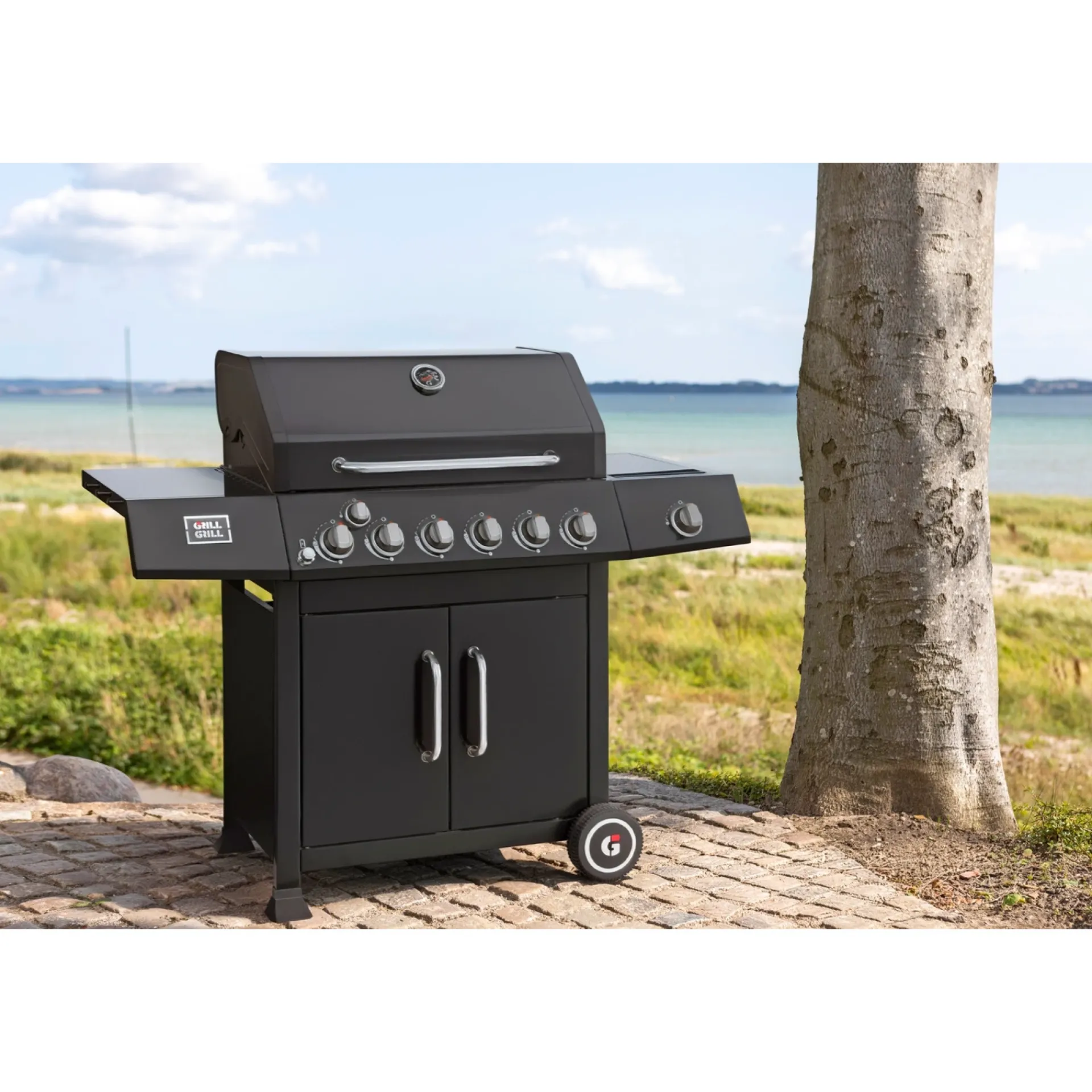 Best GrillGrill ADVANCE GGS-650 GASGRILL SORT