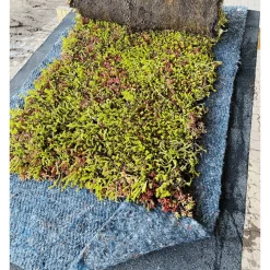Best GrowTek SEDUMLIGHT SEDUMMÅTTE