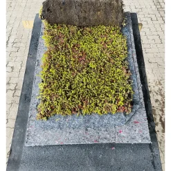 Sale GrowTek SEDUMMAX SEDUMMÅTTE