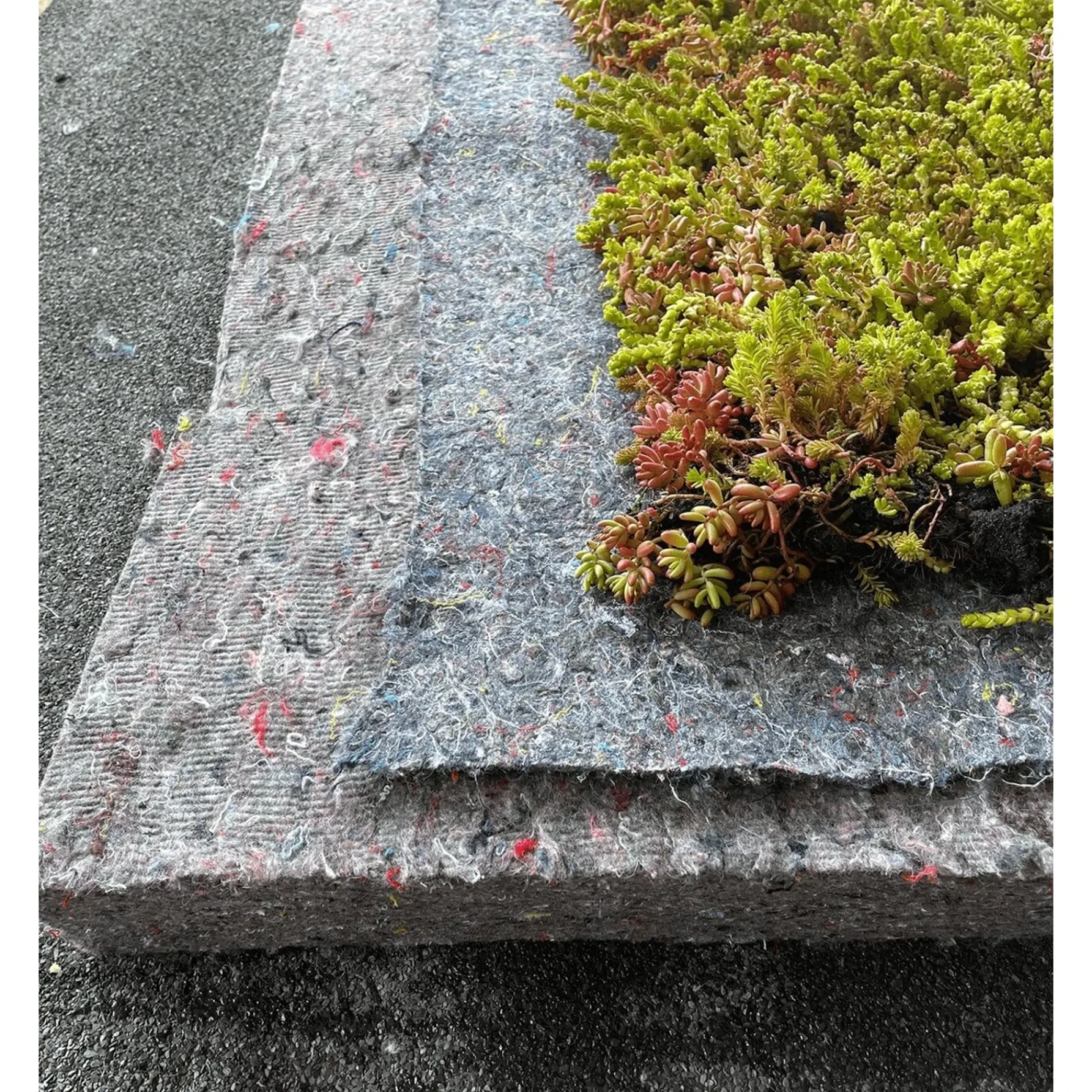 Sale GrowTek SEDUMMAX SEDUMMÅTTE
