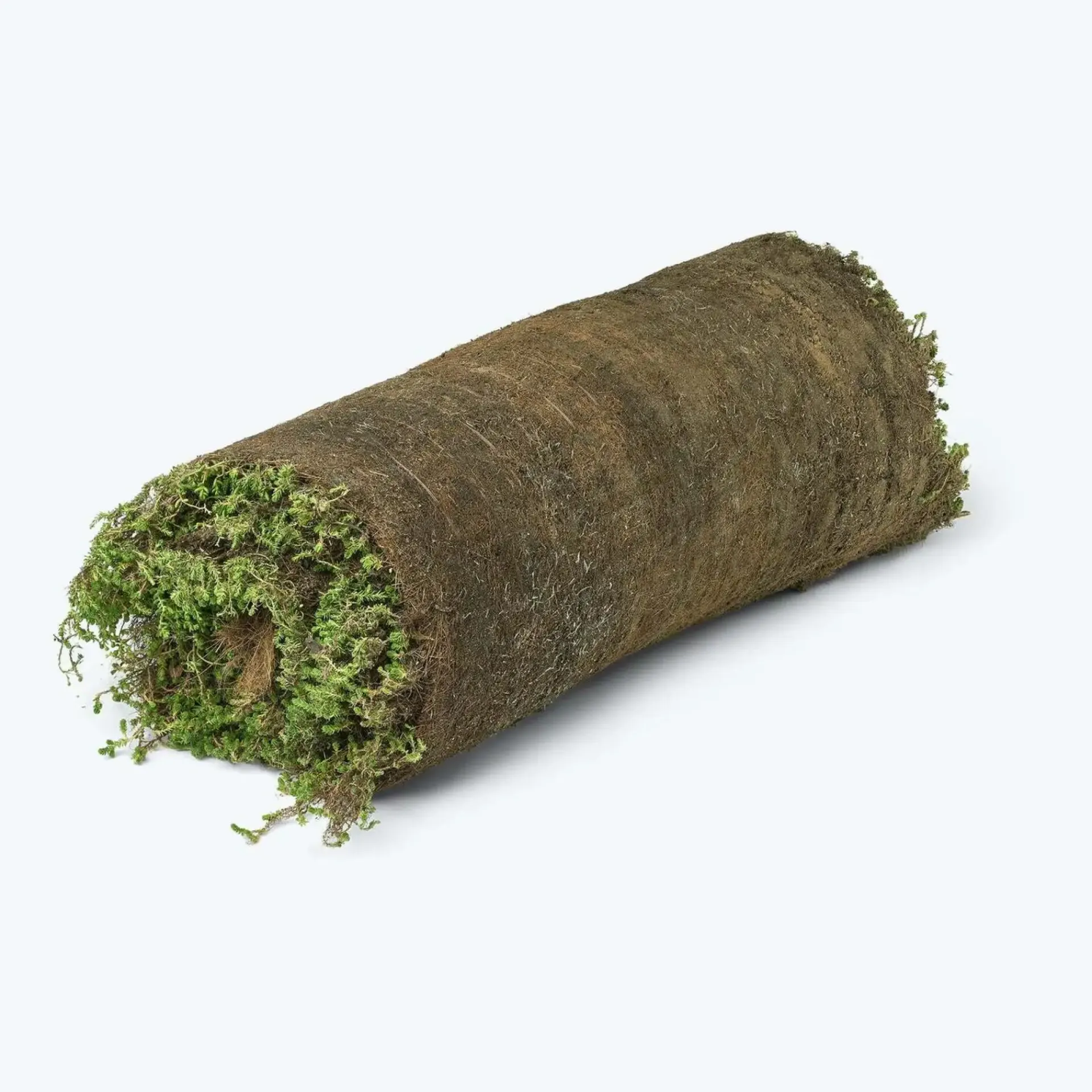 Best GrowTek TIL HAVEN OG BUNDDÆKKE SEDUMMÅTTE