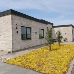 Best GrowTek TIL HAVEN OG BUNDDÆKKE SEDUMMÅTTE
