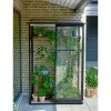 Sale Halls QUBE LEAN-TO 24 VÆGDRIVHUS 3 MM HÆRDET GLAS SORT 0,9 M2