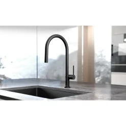 Discount Hansgrohe TALIS M54 210 KØKKENARMATUR MAT SORT