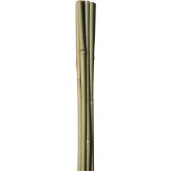 Discount HOME it GARDEN BAMBUSPINDE 120 CM