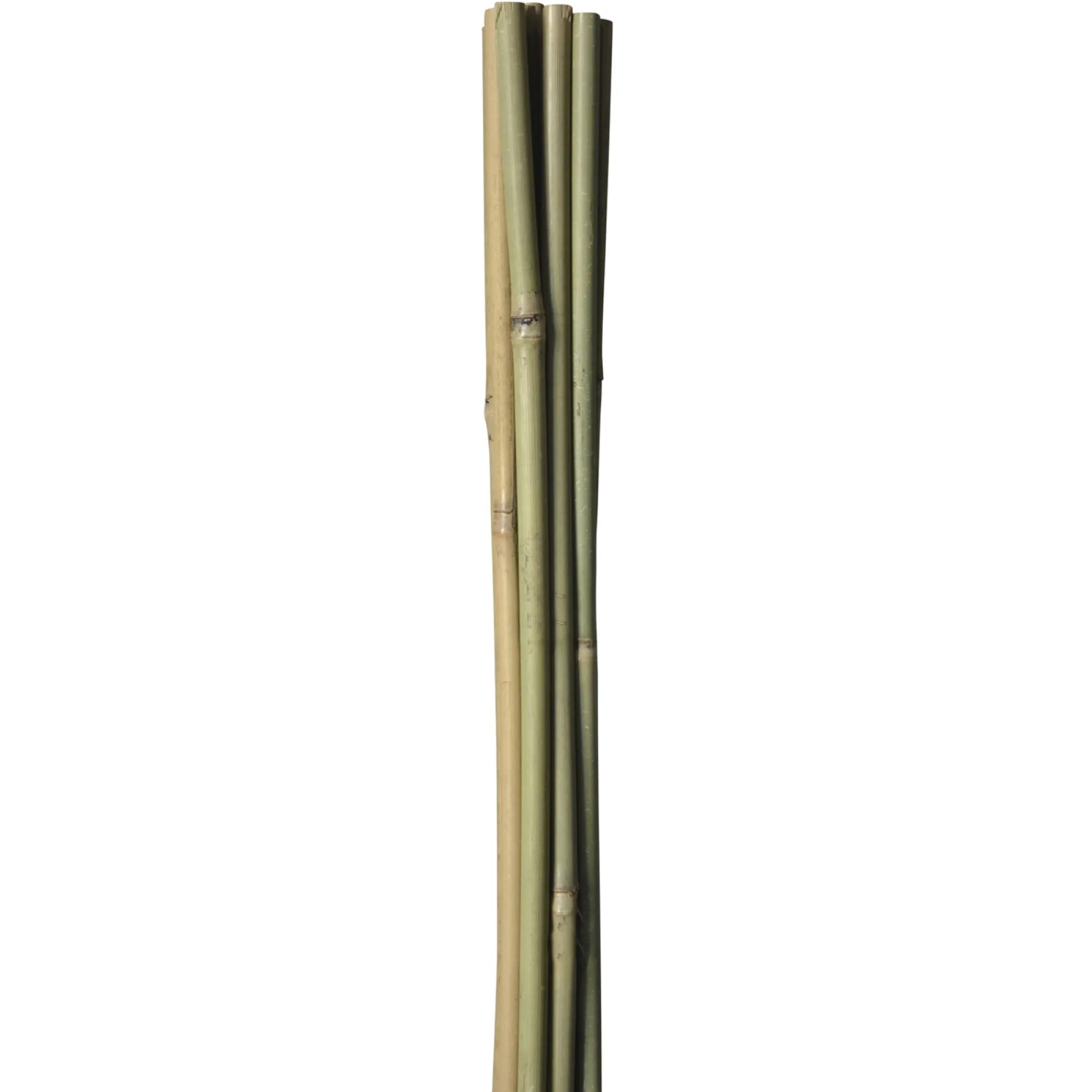 Best HOME it GARDEN BAMBUSPINDE 90 CM