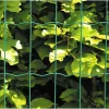 Sale Hortus HEGN GRØN PLASTBELAGT 0.60 X 25 M