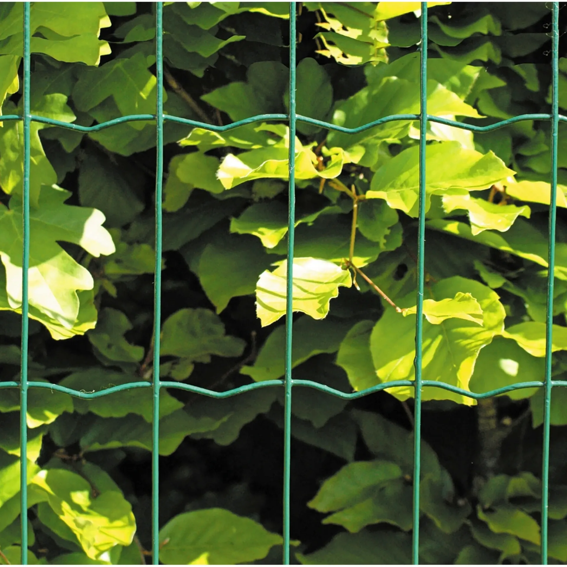 New Hortus PVC FRI TRÅDHEGN GRØN PLASTBELAGT 1.20 X 20 M