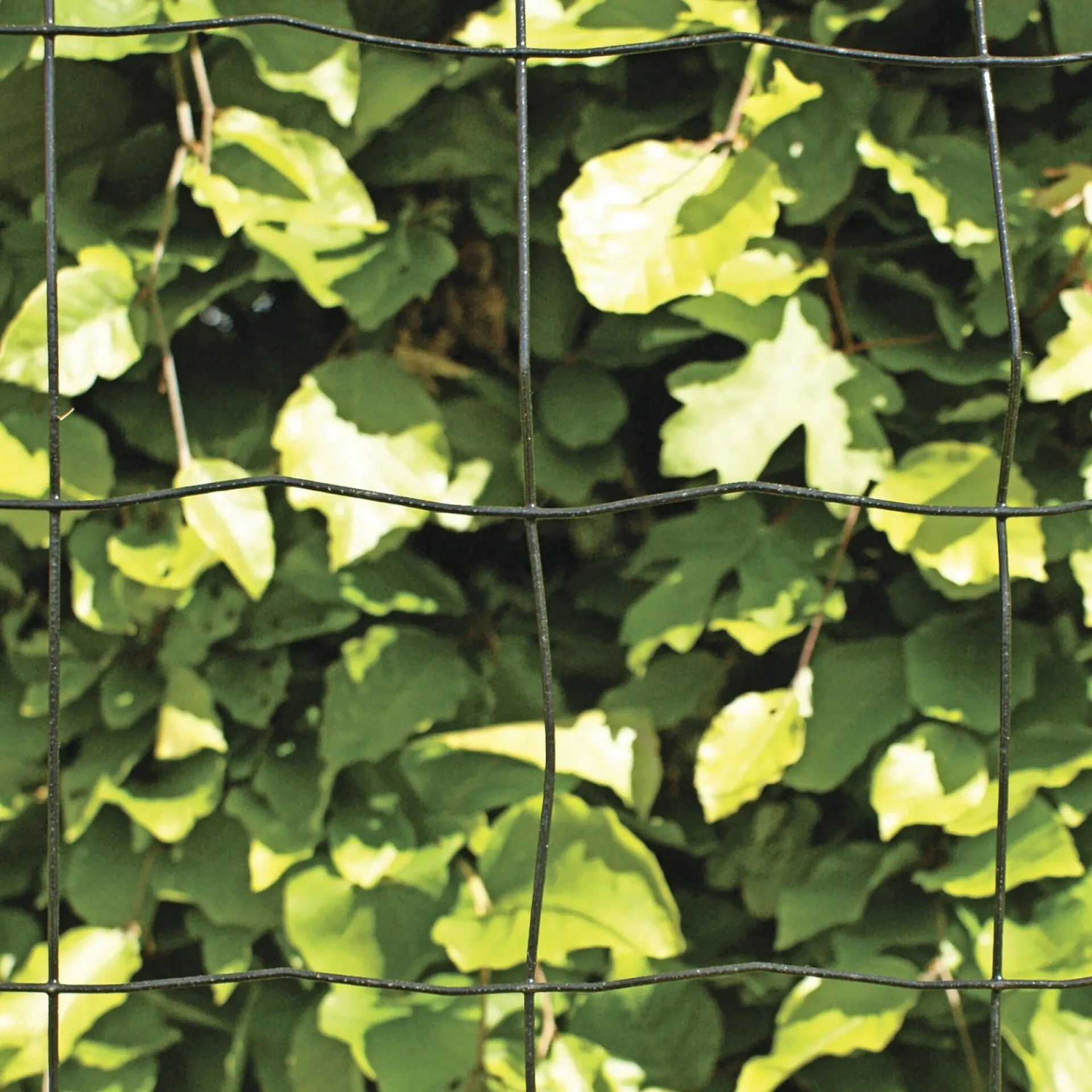 Discount Hortus PVC FRI TRÅDHEGN SORT PLASTBELAGT 0.90 X 20 M