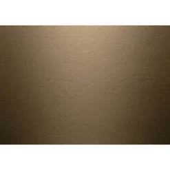 Outlet James Hardie GLAT HARDIEPLANK 8 X 180 X 3600 MM KASTANJEBRUN