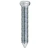 Jasa CYLINDERSKRUE 5X43 MM BØRSTET RUSTFRI STÅL 2 STK