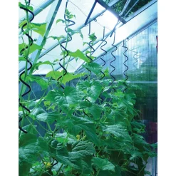 Online Juliana PLANTESPIRAL