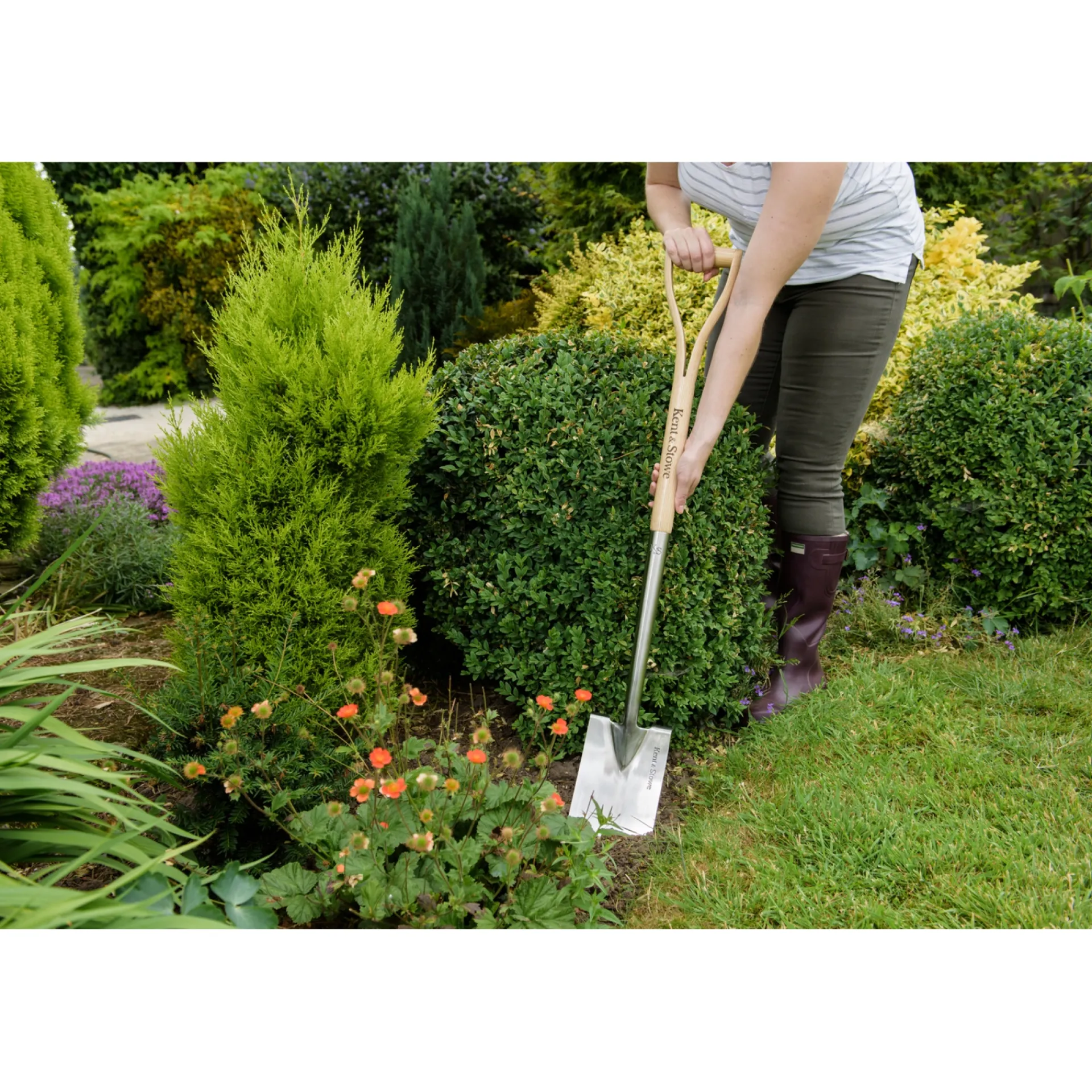 Online Kent & Stowe SPADE