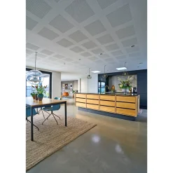Outlet Knauf DESIGNPANEL G1F, UBEH. FAS4 AKUSTIKLOFT 13 X 900 X 2700 MM