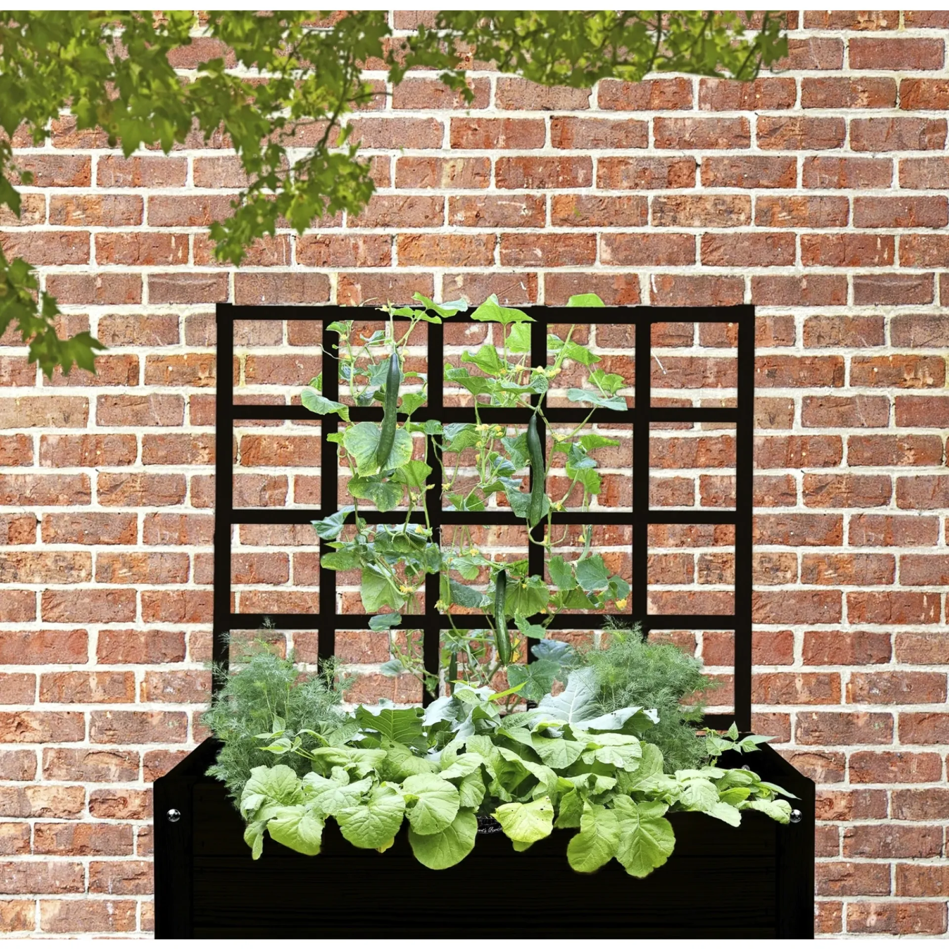 Outlet LAND ESPALIER