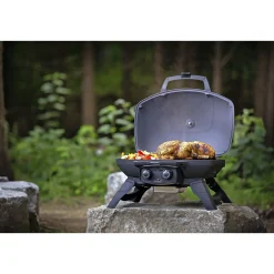 Napoleon TRAVELQ 285 GASGRILL SORT