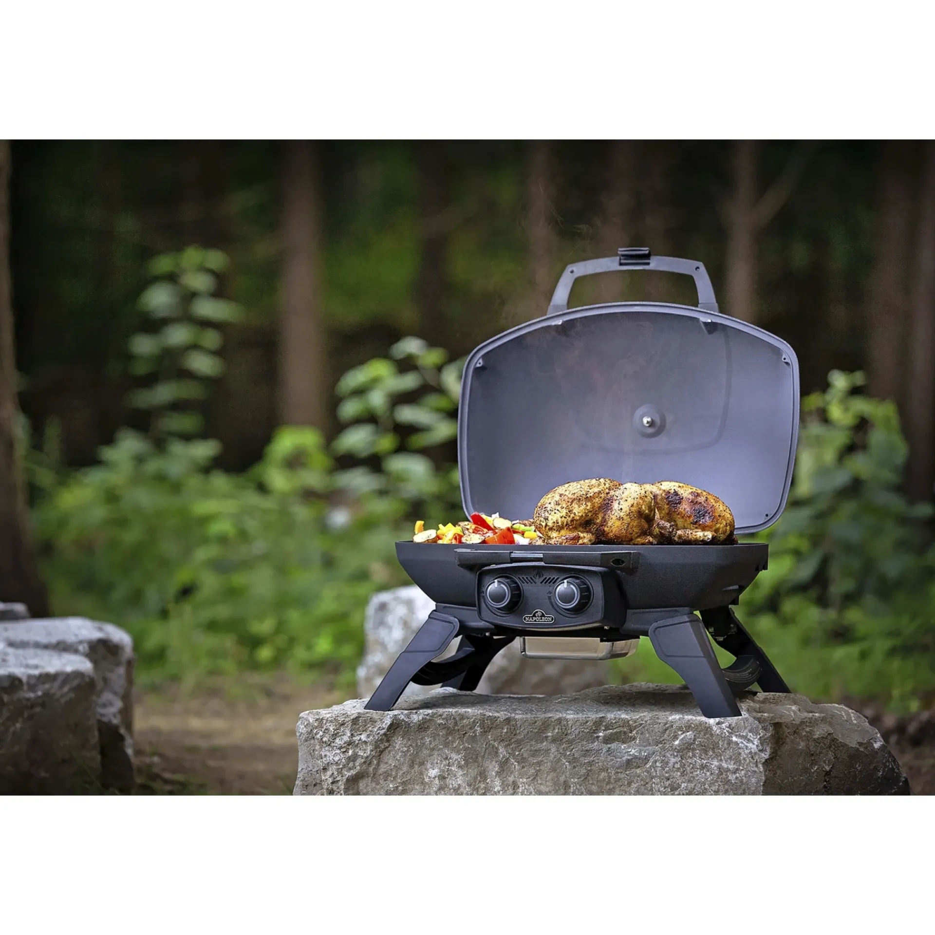 Napoleon TRAVELQ 285 GASGRILL SORT