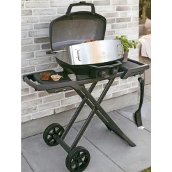 Hot Napoleon TRAVELQ PRO285 PHANTOM GASGRILL MAT SORT