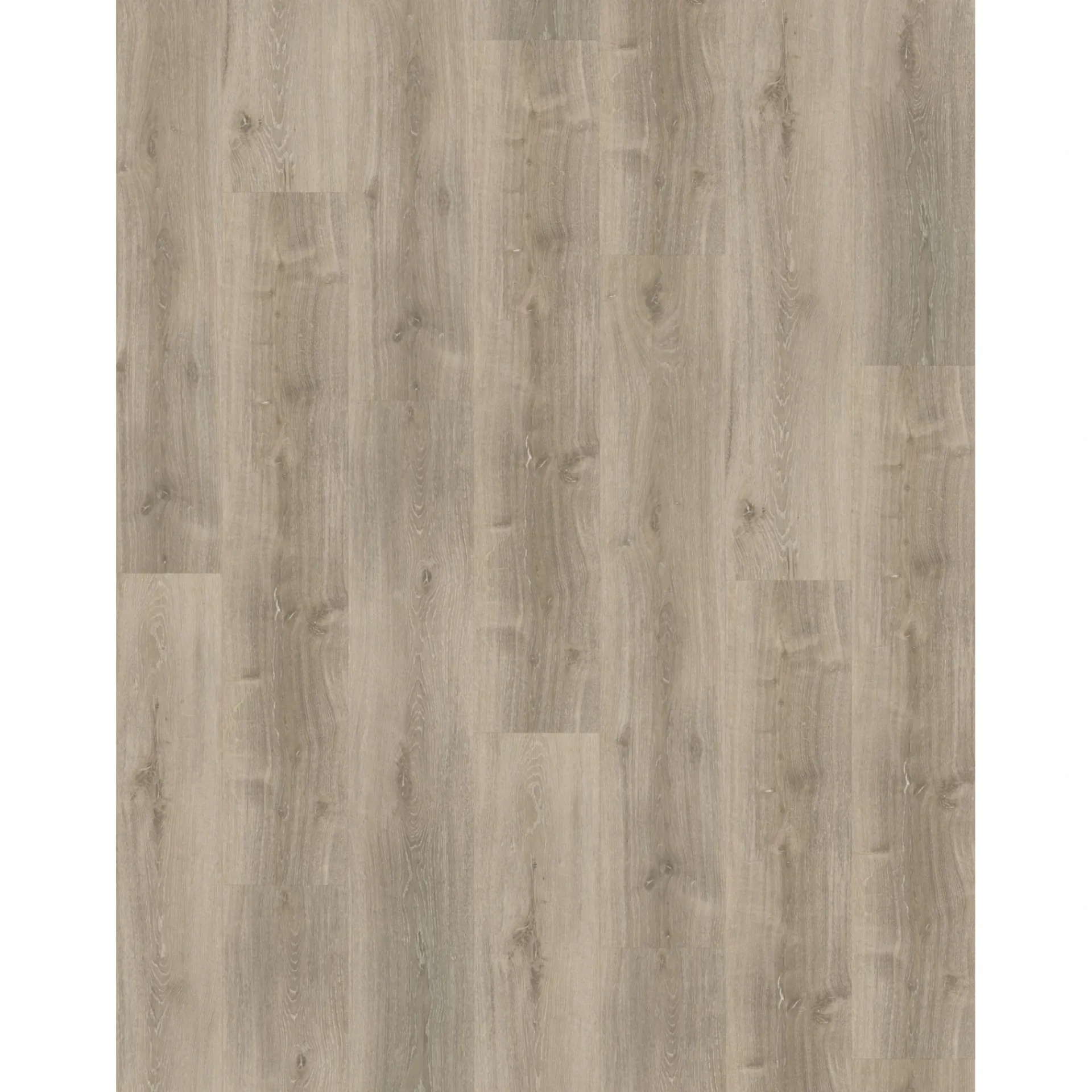Online Parador CLASSIC 2030 PLANK KORKVINYLGULV EG ROYAL HVID