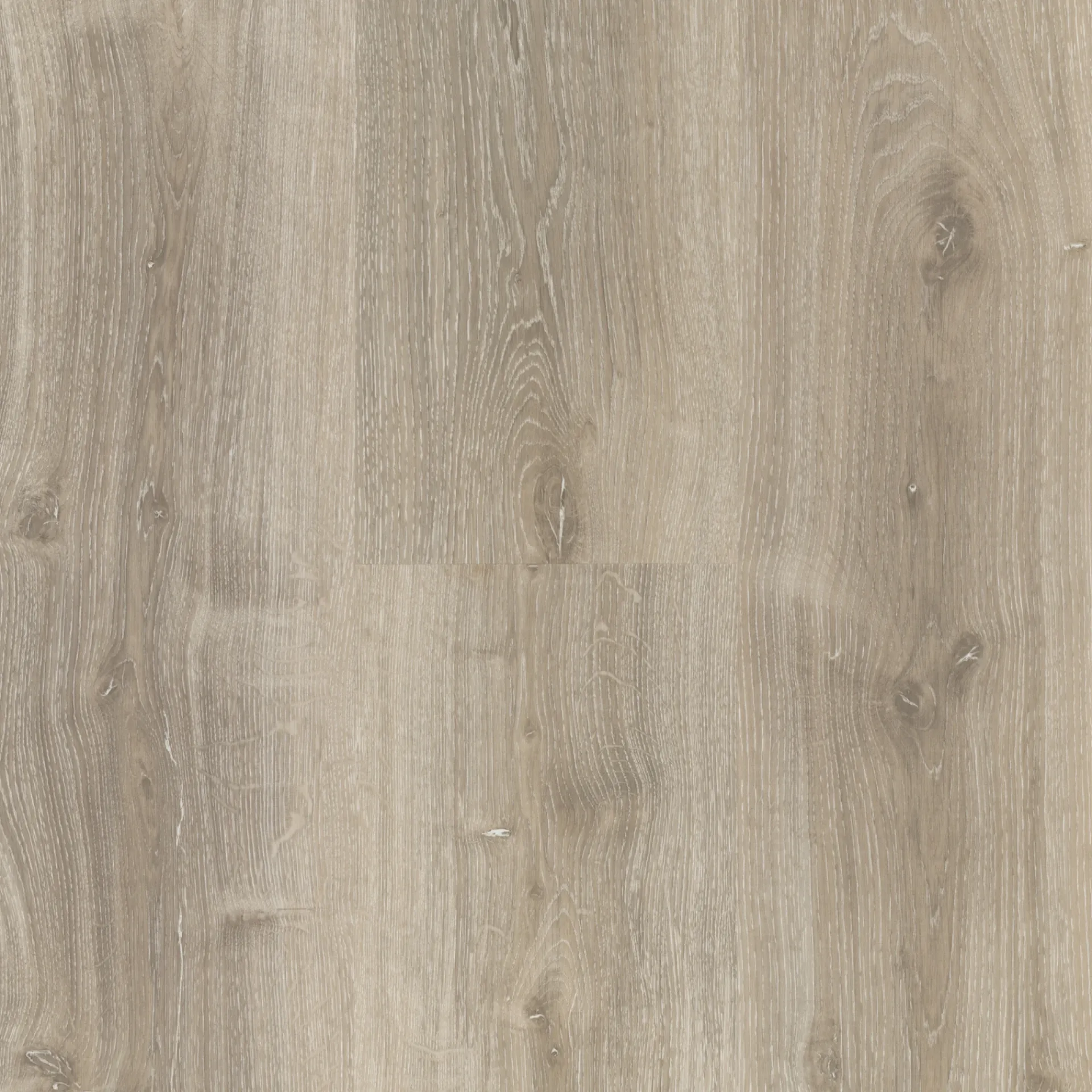 Online Parador CLASSIC 2030 PLANK KORKVINYLGULV EG ROYAL HVID