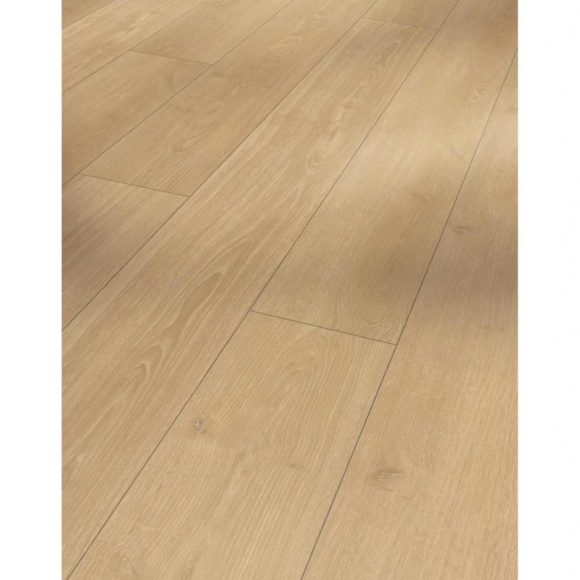 Outlet Parador TRENDTIME 6 LAMINATGULV EG STUDIOLINE NATUR