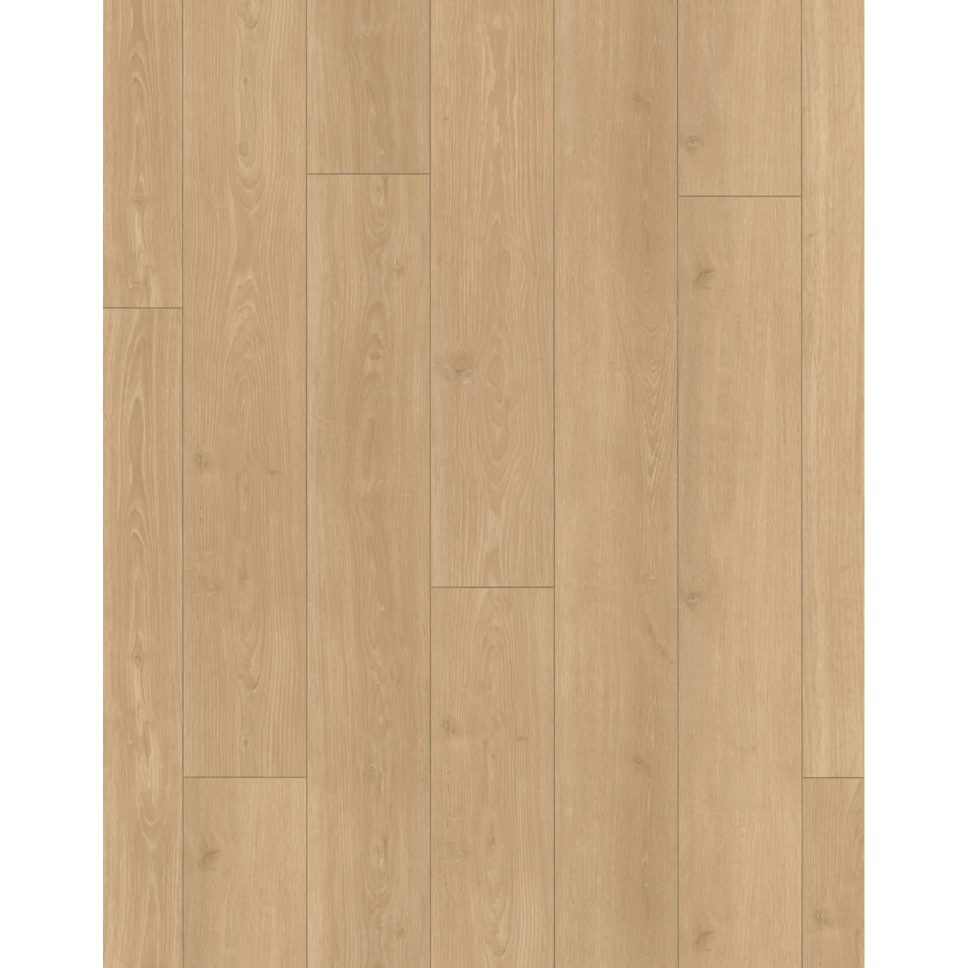 Outlet Parador TRENDTIME 6 LAMINATGULV EG STUDIOLINE NATUR