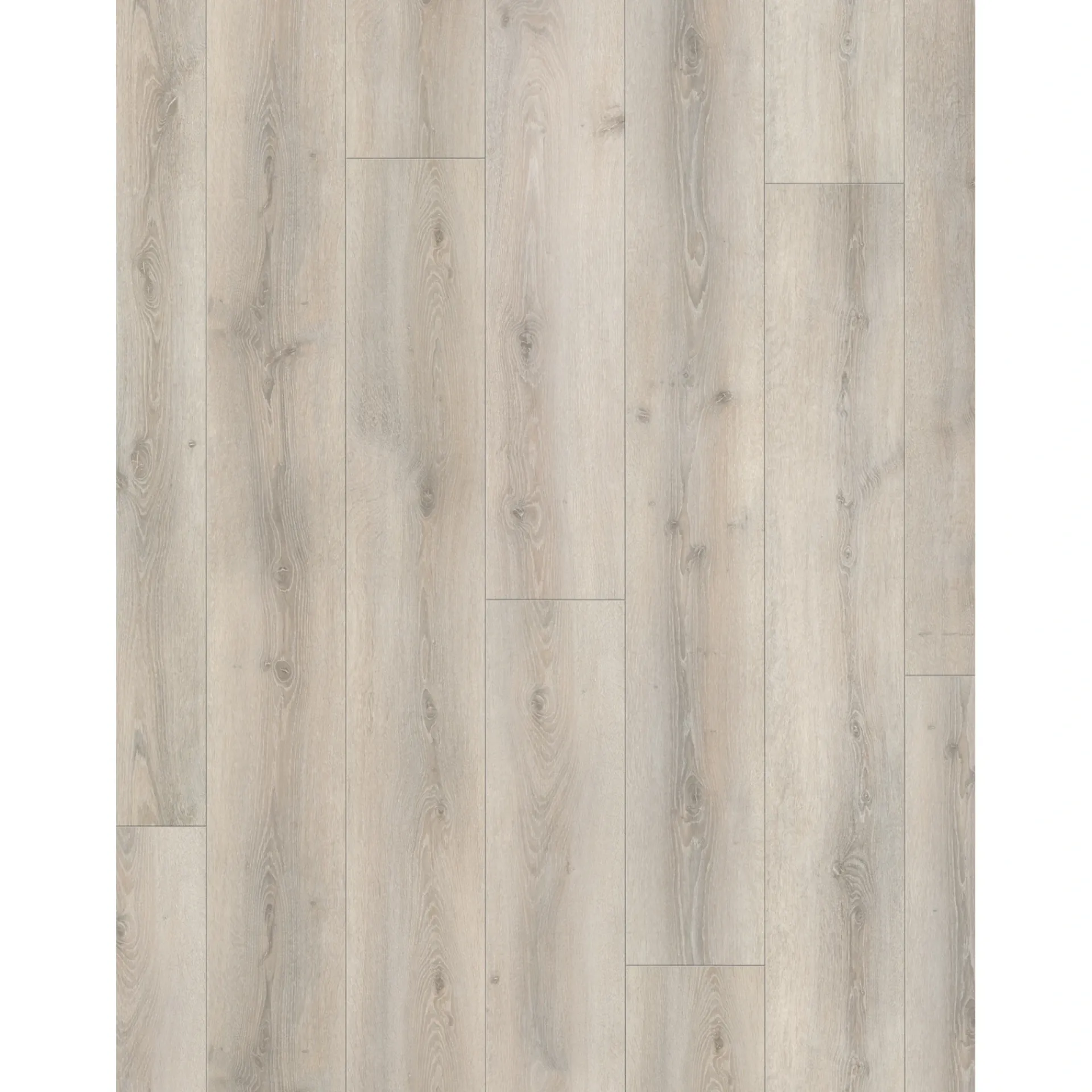 Online Parador TRENDTIME 6 LAMINATGULV EG ASKADA HVID