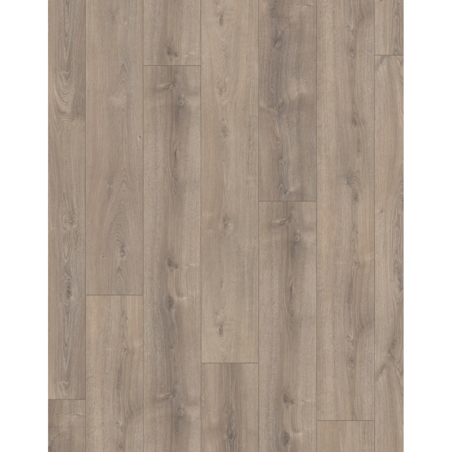 New Parador TRENDTIME 6 LAMINATGULV EG VALERE MØRK KALKET