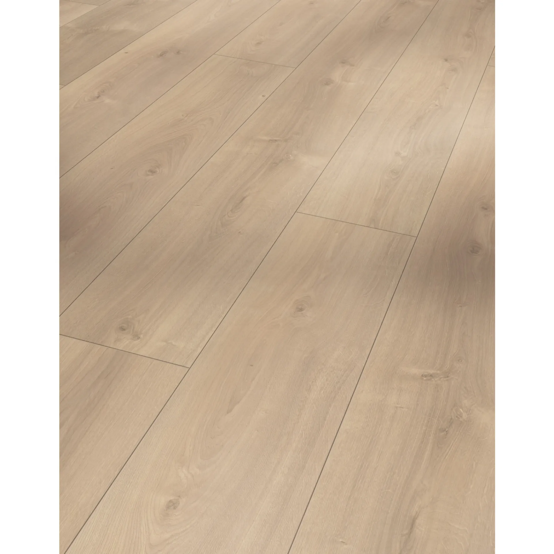 Clearance Parador TRENDTIME 6 LAMINATGULV EG AVANT SLEBET