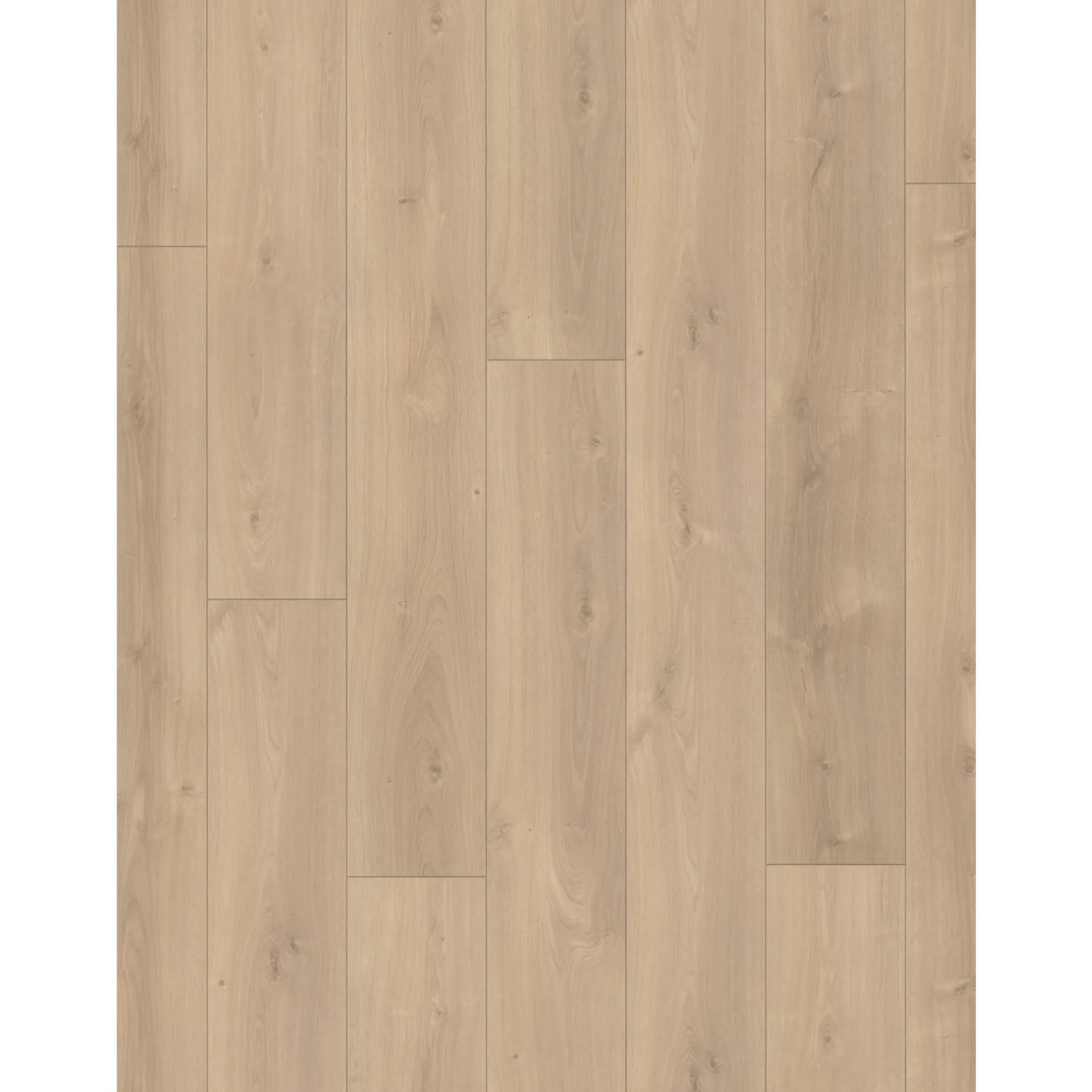 Clearance Parador TRENDTIME 6 LAMINATGULV EG AVANT SLEBET