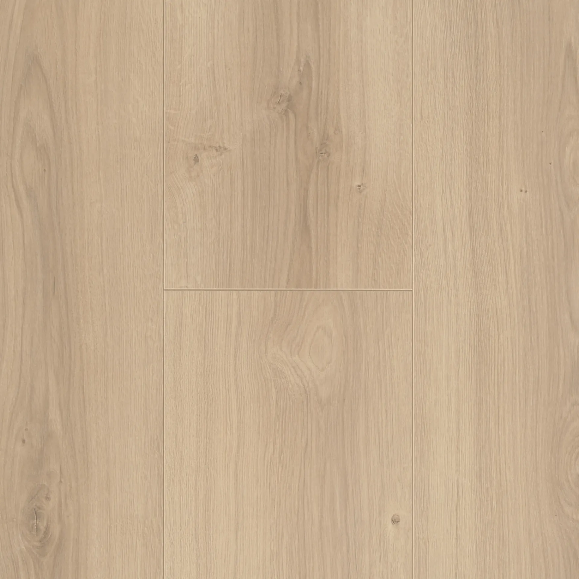 Clearance Parador TRENDTIME 6 LAMINATGULV EG AVANT SLEBET