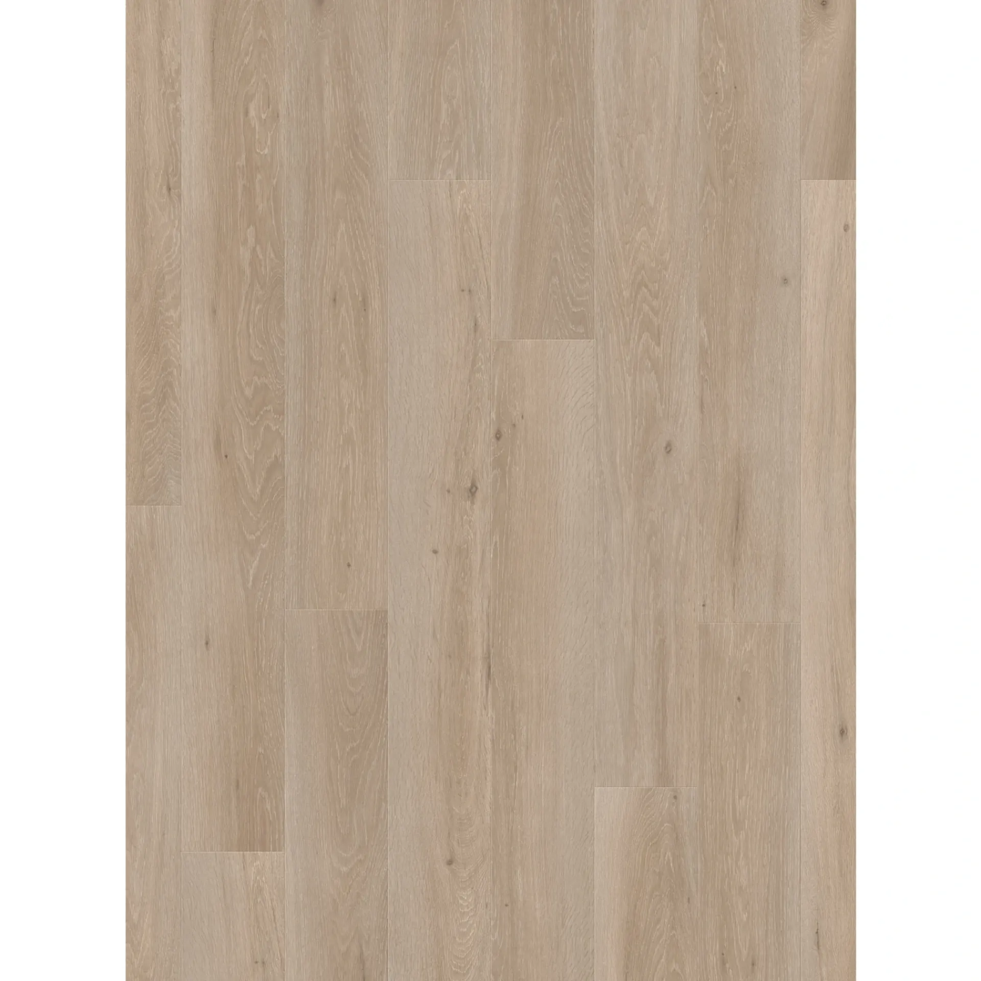 Discount Pergo TRONDHEIM LAMINATGULV ROMANTIC GREIGE OAK